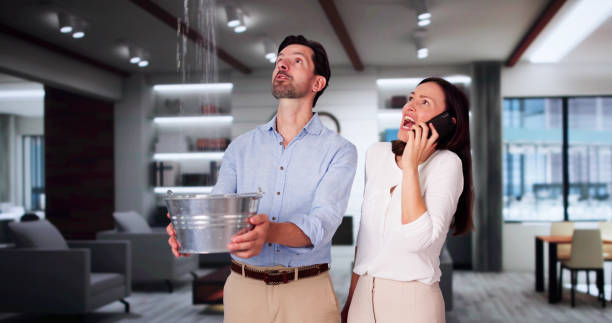 Best Ceiling and Wall Water Damage Repair in Plumas Lake, CA